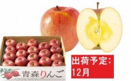 12月 訳あり 家庭用 蜜入りサンふじ 約5kg