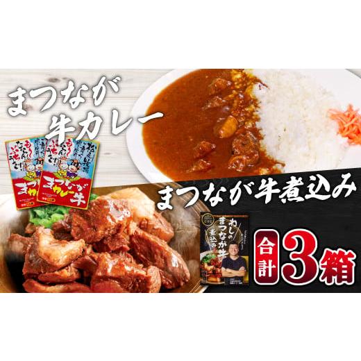 ふるさと納税 島根県 益田市 まつなが牛を食らう！「わしのまつなが牛煮込み」・「まつなが牛カレー（２個）」セット【牛煮込み まつなが牛 松永牛 牛肉 煮込…