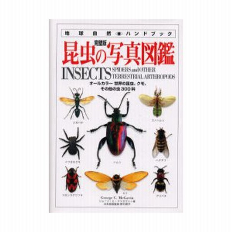 昆虫の写真図鑑 完璧版 オールカラー世界の昆虫 クモ その他の虫300科 通販 Lineポイント最大0 5 Get Lineショッピング