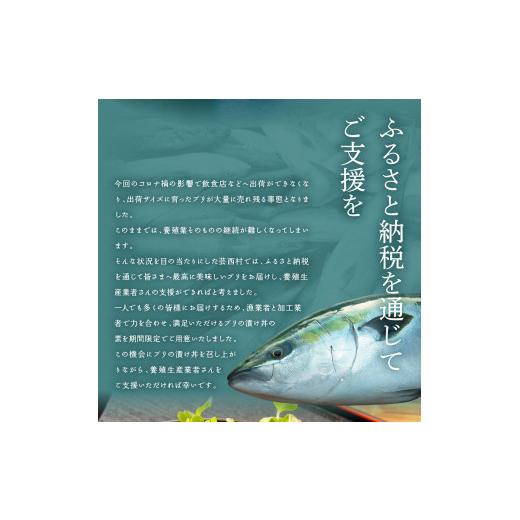 ふるさと納税 高知県 芸西村 「ブリの漬け丼の素」1食80g×5P《迷子のブリを食べて応援 養殖生産業者応援プロジェクト》