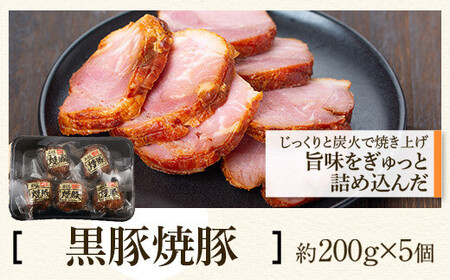 ふるさと2選A うなぎ(有頭・125g以上×2尾) と焼豚(約200g×5個・計約1kg)のセット 鹿児島 国産 九州産 黒豚 豚肉 お肉 焼豚 チャーシュー うなぎ 鰻 ギフト 贈答 特別な日に