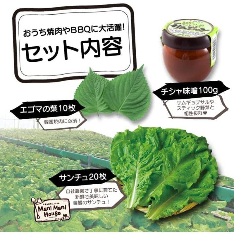 李朝園 包み野菜セット（サンチュ エゴマ チシャ味噌）