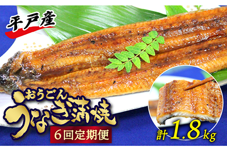 おうごん うなぎ 300g[KAB139]  長崎 平戸 魚介類 魚 うなぎ 鰻 ウナギ 蒲焼 かばやき 定期便