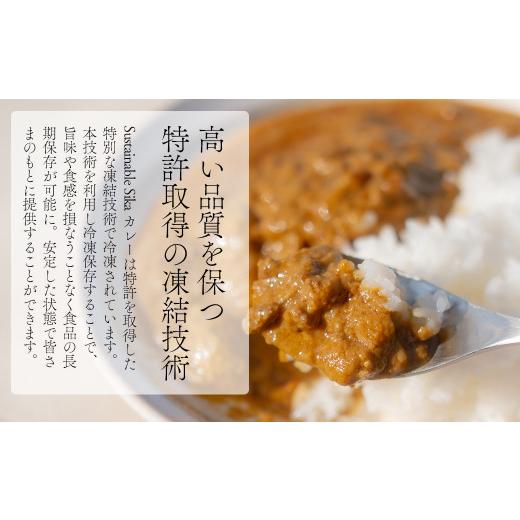 ふるさと納税 岡山県 西粟倉村 Sustainable SIKA カレー 2食セット A-MT-A07A