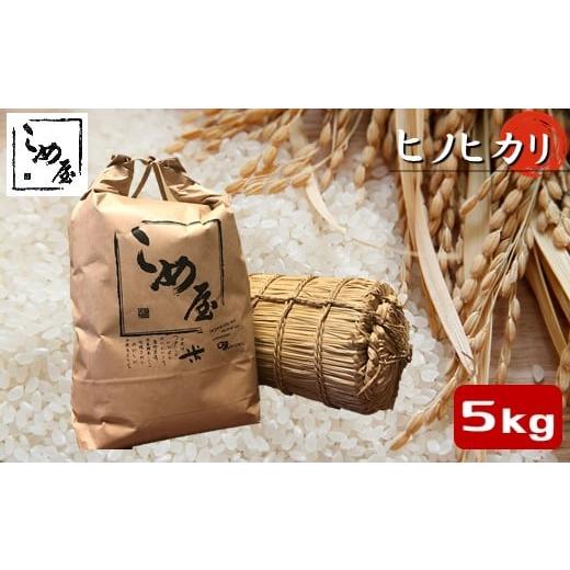 ふるさと納税 熊本県 玉名市 熊本県産 「ヒノヒカリ」 5kg