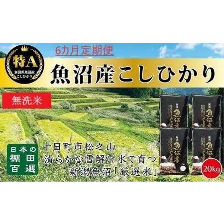 ふるさと納税 無洗米「６カ月定期便」日本棚田百選のお米　天空の里・魚沼産こしひかり　２０ｋｇ（５ｋｇ×４）×６回 新潟県十日町市