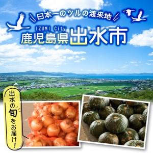 ふるさと納税 i460 旬の野菜・果物おまかせセット(8〜10種類)ツルの恩返し野菜セット！鹿児島県出水市より国産野菜を市場直送！【出水市出水駅.. 鹿児島県出水市