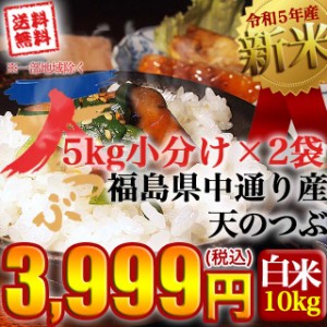 新米 お米 令和5年産 福島県中通り産 天のつぶ 白米:10kg(5kg×2個)  送料無料 ※一部地域を除く