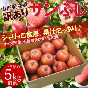 訳ありサンふじりんご 約5kg バラ詰め 山形産 りんご リンゴ 林檎 アップル  訳あり 産直 取寄せ 家庭用 果物 フルーツ 送料無料※沖縄県