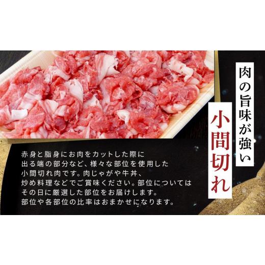 ふるさと納税 岐阜県 大野町 飛騨牛Ａ5 小間切れ 500g｜国産 肉 牛肉 和牛 黒毛和牛 グルメ A5等級 おすすめ AD126 【飛騨牛 和牛ブランド 飛騨牛 黒毛和牛 飛…