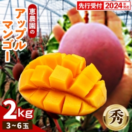 恵農園のアップルマンゴー『秀』約2kg（3～6玉）
