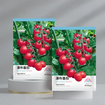 🌱【原裝水果種子】🍅瀑布番茄種籽  親測出芽率超85% 爆產甜番茄！垂吊盆栽 陽台族首選 懶人必備 不占空間 結果滿滿