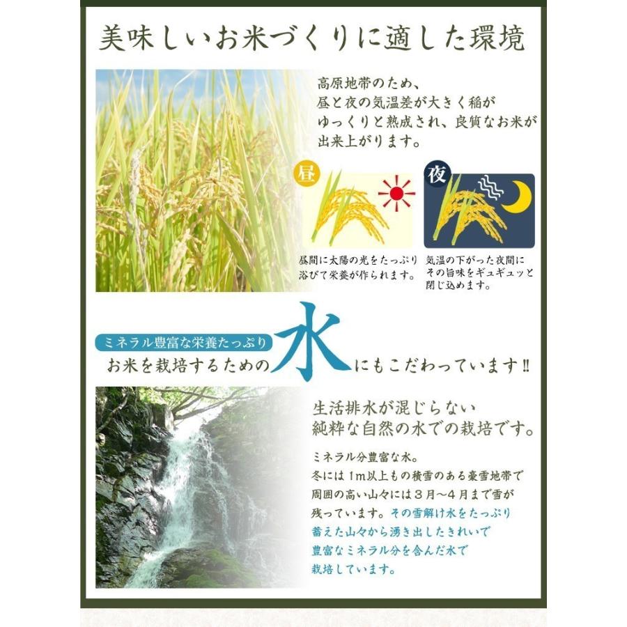 新米 令和3年 内祝 自然栽培米 無農薬 新米 米 2kg 食べ物 ミルキークイーン コシヒカリ 送料無料 金賞