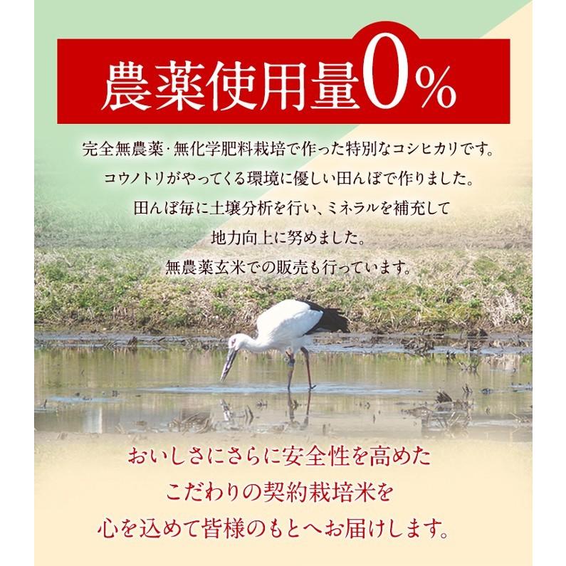 渡辺米穀 発芽玄米無農薬 2Kg 令和4年