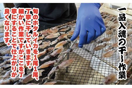 越前産 ほたるいか 素干し 50gｘ5パック [A-007004]