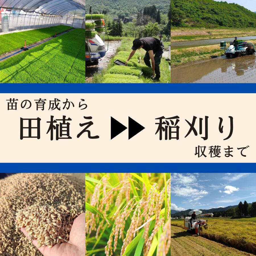 お米 25kg 無洗米 魚沼産コシヒカリ 農家直送 令和5年度産