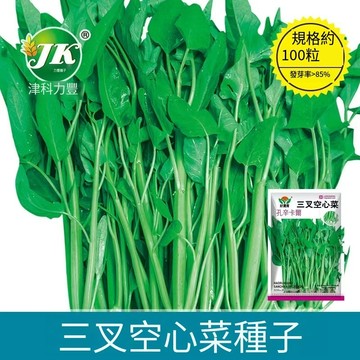 【原裝100粒】三叉空心菜種子白梗空心菜柳葉空心菜種子四季播種耐熱蔬菜割茬水培青桿小葉空心菜特色蔬菜種子
