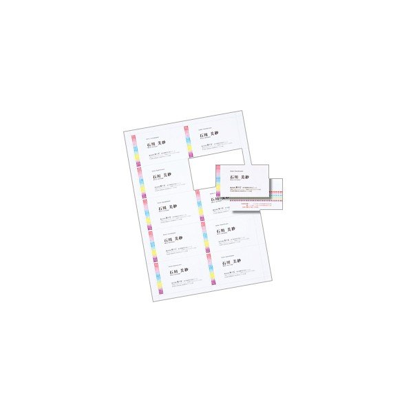 サンワサプライ:マルチタイプ名刺カード・標準 (A4、10面、100シート1000カード入り) JP-MCM06-1 名刺カード