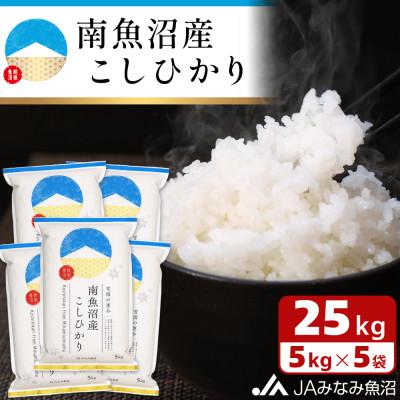 ふるさと納税 南魚沼市 「南魚沼産こしひかり」精米 25kg(5kg×5袋)