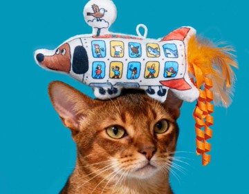 【火箭小狗】寵物發聲陪伴/磨牙耐咬玩具