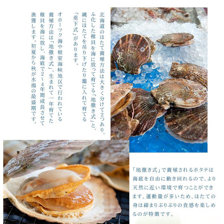 今だけ送料無料　ホタテ ほたて 北海道産生ホタテ300g（10〜18玉）刺身 海鮮丼《ref-ht1》gw2 yd5[[生ほたて300g]