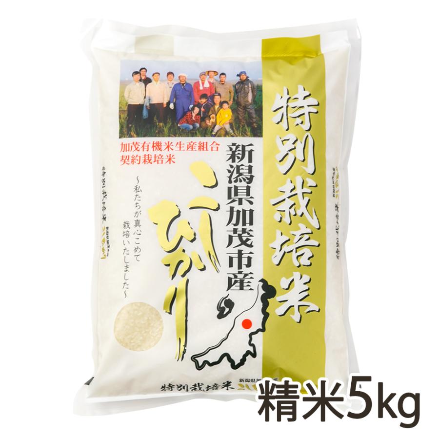 新潟県産コシヒカリ（特別栽培米）精米5kg 加茂有機米生産組合 送料無料