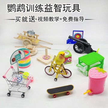 百貨研究所⚡️鸚鵡訓練玩具表演道具用品訓鳥食罐鳥籃球套圈虎皮牡丹玄鳳技能🎉