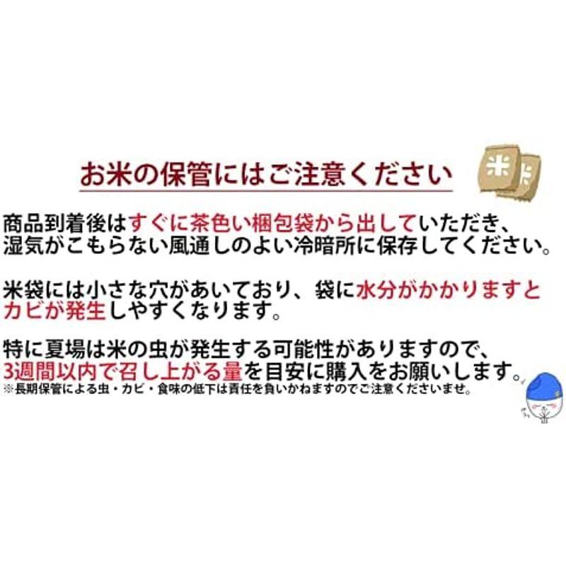 精米福井県産福井米 白米 令和3年産 (30kg)