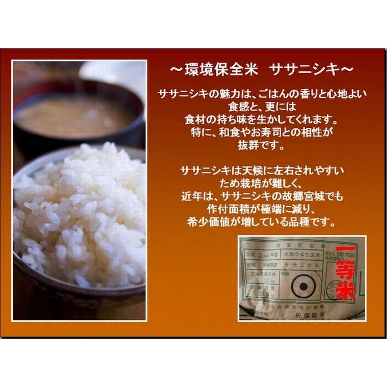 宮城登米産　環境保全米　ササニシキ　５kg（無洗米）