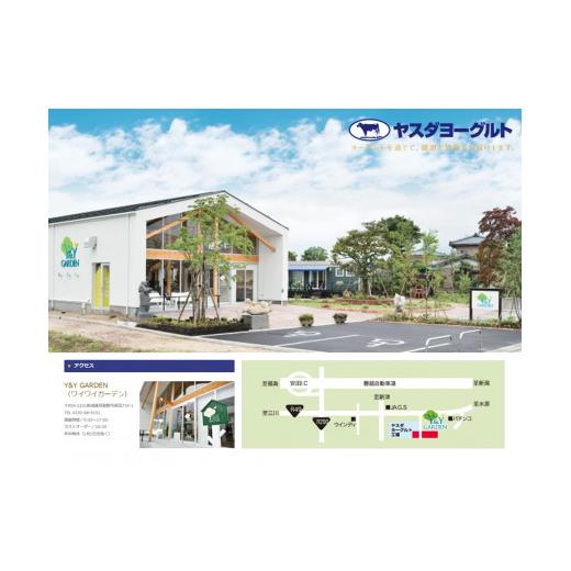 ふるさと納税 新潟県 阿賀野市 ヤスダヨーグルト ミニミニバラエティセット 150g×25本×3回 小ボトル 無添加 搾りたて 生乳 1B40042