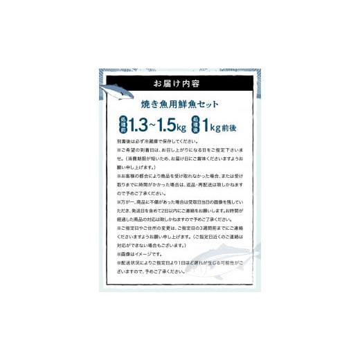ふるさと納税 熊本県 天草市 S121-001_焼き魚用　鮮魚セット