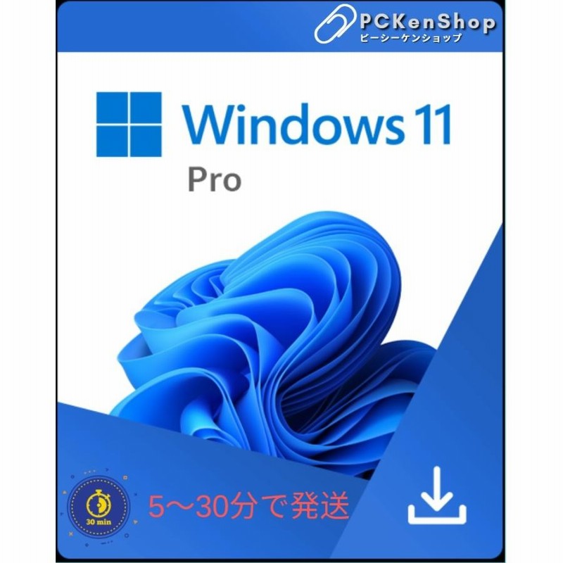 Windows 10 Home Retail Version Plus - MS Office Store