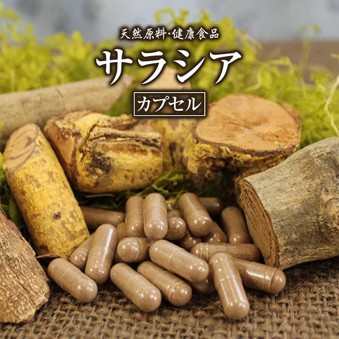サラシアカプセル(220粒)天然ピュア原料そのまま健康食品 サラシア さらしあ サプリ サプリメント ダイエット 美容 濃縮 血糖値 効果 |  LINEショッピング