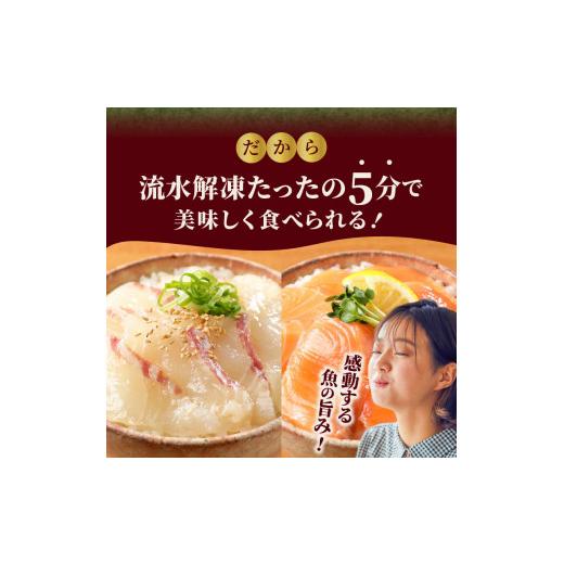 ふるさと納税 宮崎県 延岡市 日向灘真鯛と生アトランサーモンの漬け丼2種食べ比べセット　100g×8袋　N019-ZB062