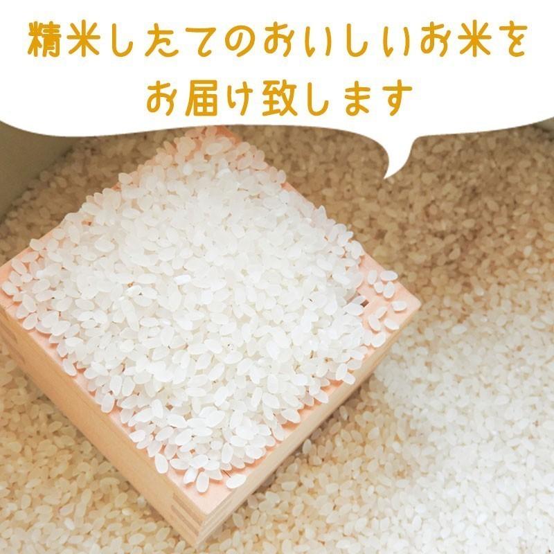 ミルキークイーン 玄米30ｋｇ 令和５年産 送料無料　茨城県産 冷めても美味しい お弁当 おにぎり お米 米 おいしい 玄米 白米　もちもち