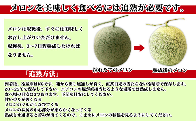 ※訳あり※ 富良野 メロン 約8kg 〈3玉～8玉入り〉北海道 富良野市 (スイートベジタブルファクトリー)