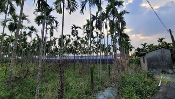 竹田大型合法豬舍畜牧場		｜屏東縣竹田鄉信實路