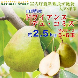 [予約 11月15日～12月25日納品] ドワイアンヌ・デュ・コミス 2.5kg 山形県産 洋梨 5玉-6玉 特大  山形県 ラフランス ギフト