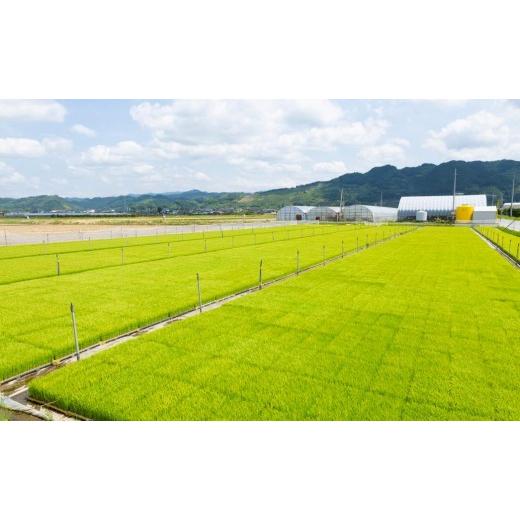 ふるさと納税 福岡県 うきは市 P458-30 みずほファームの特別栽培米 ヒノヒカリ 玄米30kg