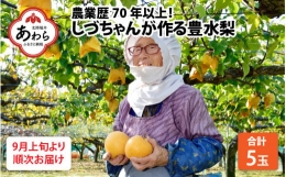 しづちゃんが作る豊水梨 5～6玉入（2.5～3kg）農業歴70年以上！ ※2024年9月上旬より順次お届け