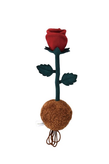 PlushF-植物-玫瑰