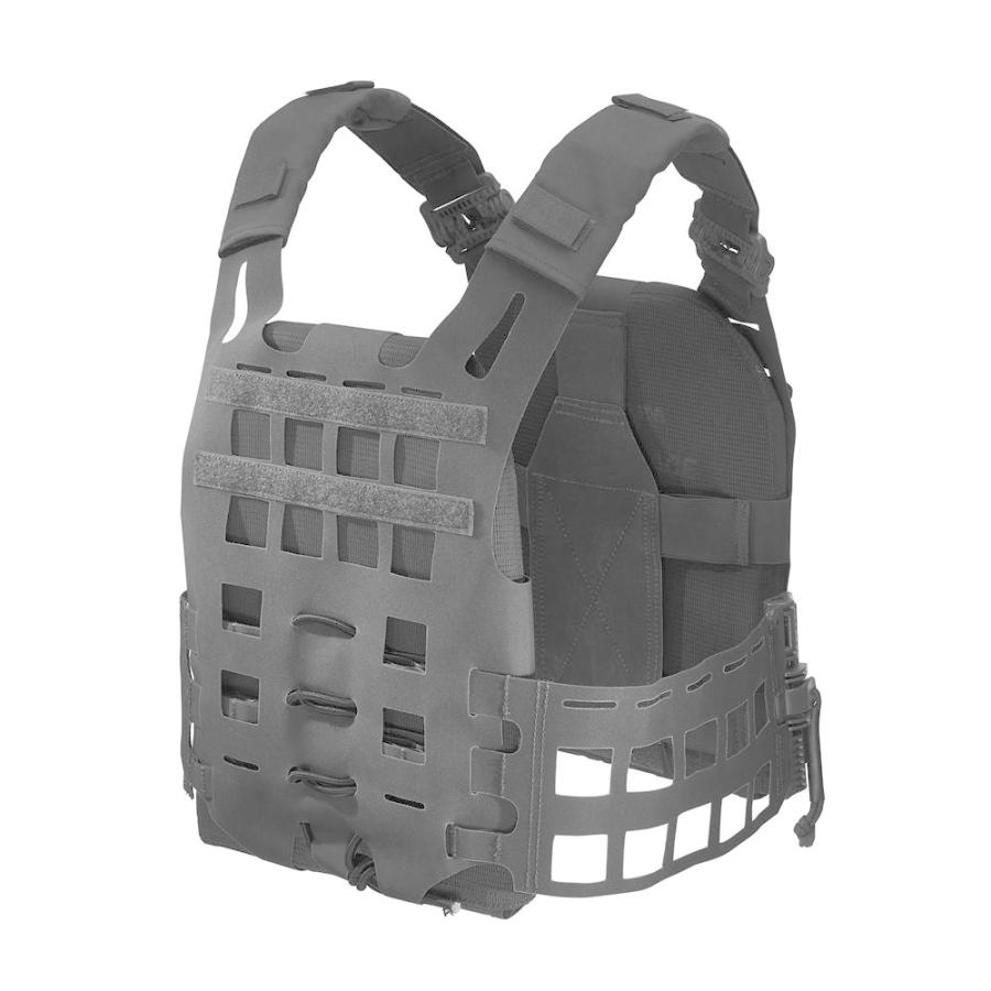 タスマニアンタイガー　プレート キャリア QR SK アンフィビア Tasmanian Tiger PLATE CARRIER QR SK ANFIBIA