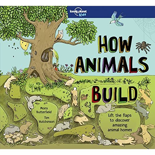 How Animals Build (Lonely Planet Kids)