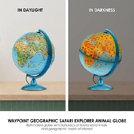 Waypoint Geographic Safari Explorer Animals Globe, World Globe, Illuminated Desktop Globe with Blue Physical Earth and 100s of Illustrated Animals