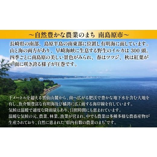 ふるさと納税 長崎県 南島原市 フルーツ定期便 旬のフルーツセット ／ いちご ビワ スイカ ぶどう アールスメロン 柑橘類 南島原市 ／ …