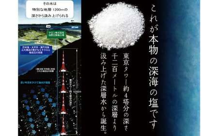 深海の恵み 関門の塩 合計1000g (100g×10袋) ミネラル 塩 調味料 塩分濃度86.1％ カルシウム マグネシウム カリウム しお 少量 小分け