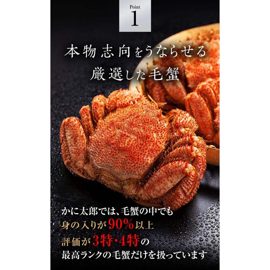 北海道産 活毛がに　500ｇ  中型　毛ガニの美味しさを味わうなら、未冷凍の活け毛蟹。カニ味噌 かに通販 カニお取り寄せ