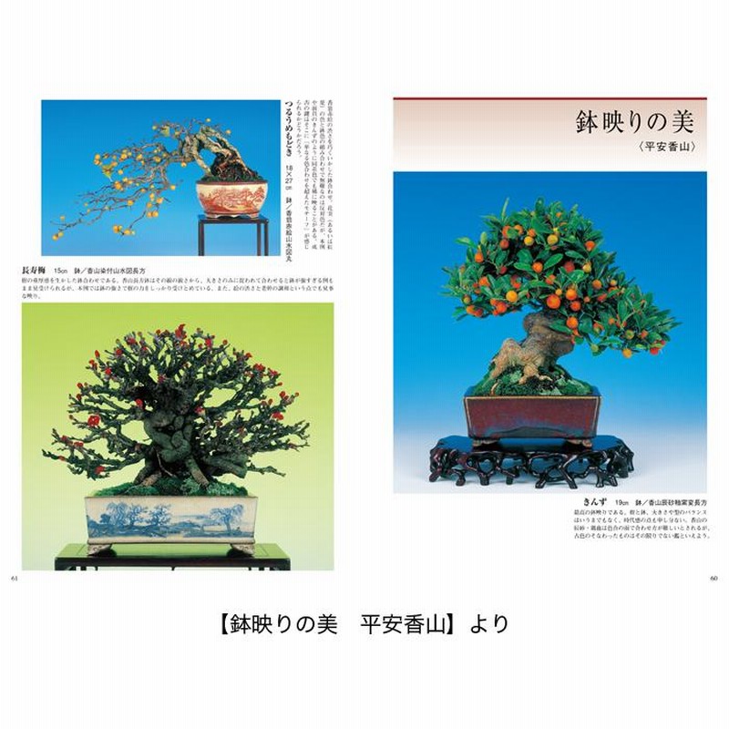 盆栽鉢 香山 （書籍 本 盆栽専門誌「月之輪涌泉・平安香山」盆栽名鉢 