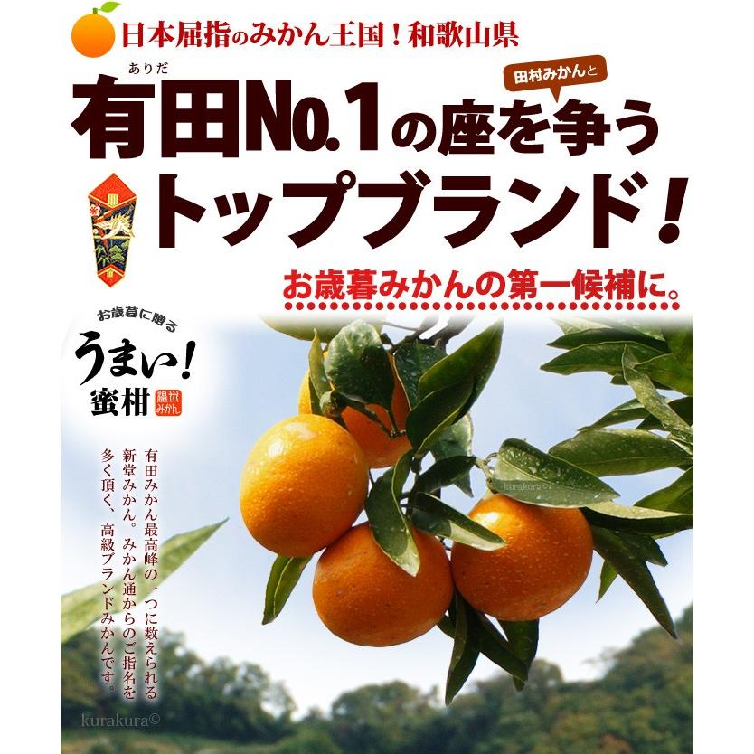 有田みかん 新堂みかん 嘉七 他1名 赤秀 (約5kg) 和歌山 有田産 生産者限定 贈答用 蜜柑 食品 フルーツ 果物 早生 みかん ミカン mikan mandarin orange お歳暮