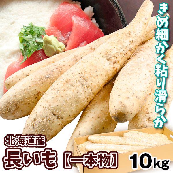 長いも 一本物 10kg 北海道産 送料無料 食品